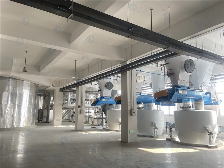 Fully Automatic Powdered Detergent Production System