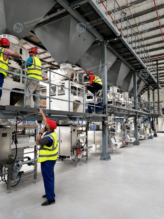 Detergent Powder Weighing And Packaging System